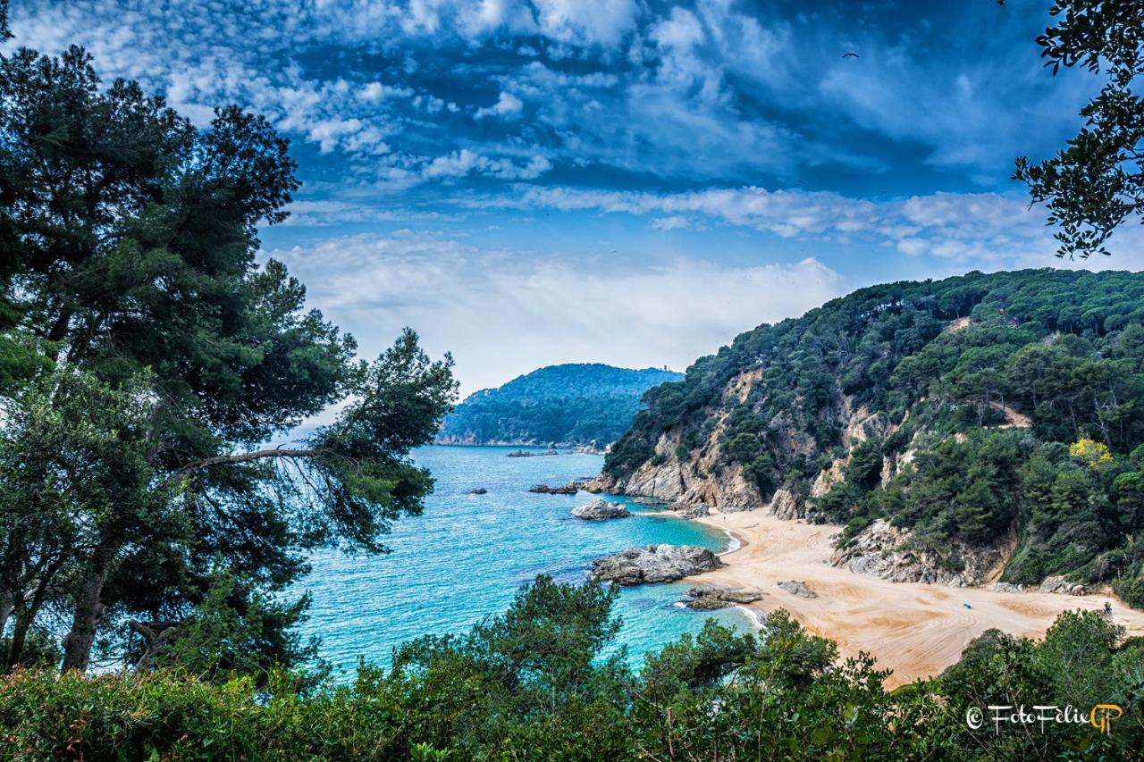 Mar De Vent -Apartments Lloret de Mar Eksteriør billede